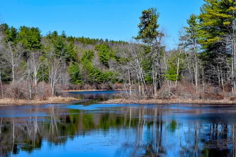 Spring time by the waters edge Stock-Fotos