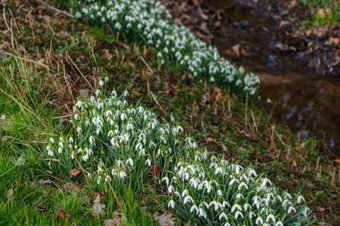 Spring time in westphalia Stock Photos