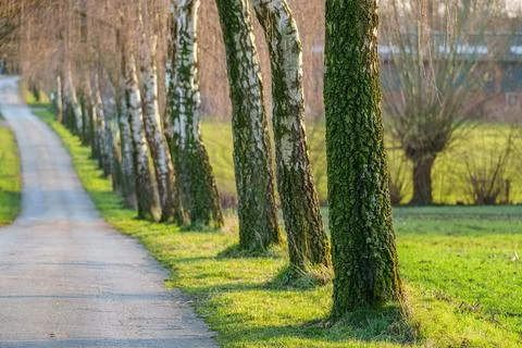 Spring time in westphalia Stock Photos