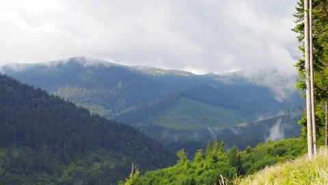 Spring timelapse in Mountains. Stock Footage 80761844