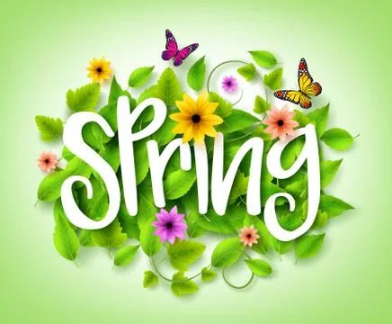Spring Title Text with Vector Green Leaves in the Background 库存插图