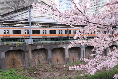 Spring in tokyo Stock-Fotos