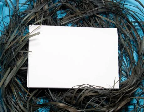 Spring top view composition: blank stationary template invitation mockup, white Stock Photos