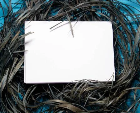 Spring top view composition: blank stationary template invitation mockup, white Stock Photos