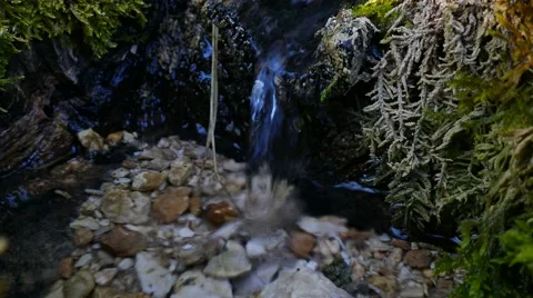 Spring of a torrent, close up view Stock Footage 62436123