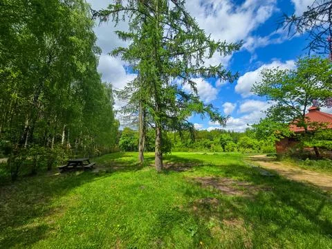 Spring Transition From Forest to Park Stock Photos