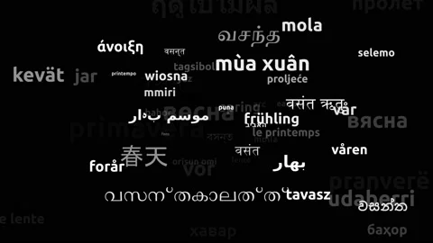 Spring Translated in 63 Worldwide Languages Endless Looping 3d Zooming Wordcl Stock Footage 145216944