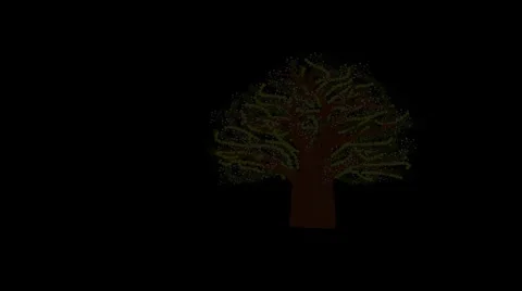 Spring tree with appearing background Stock Footage 1216482