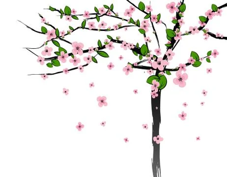 Spring tree with cherry flowers blossom, sakura, plum. Vector isolated Stock Illustration
