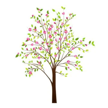 Spring tree with flowers isolated on white background vector Stock Illustration