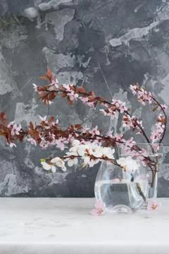 Spring tree flowers Stock Photos