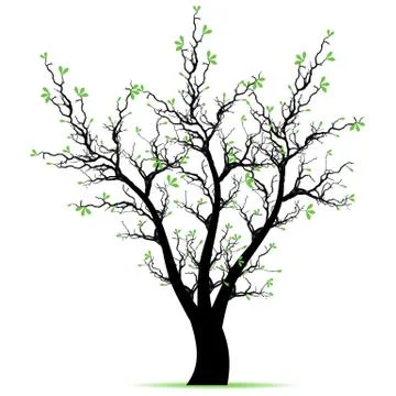 Spring Tree Stock Illustration