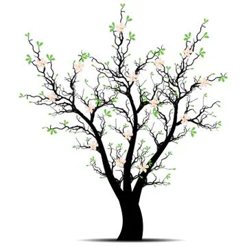 Spring Tree Stock Illustration