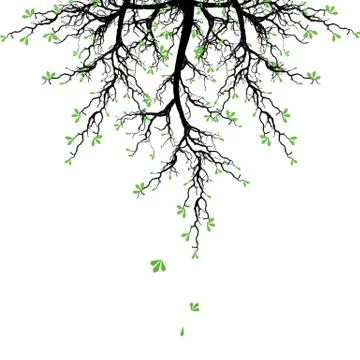 Spring Tree Stock Illustration