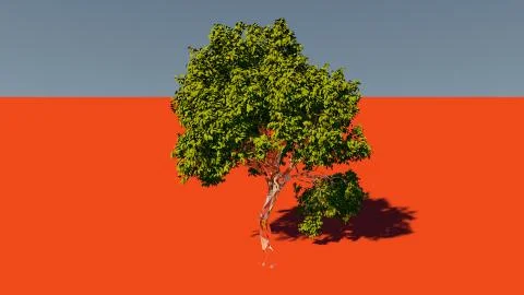 Spring tree イラスト素材