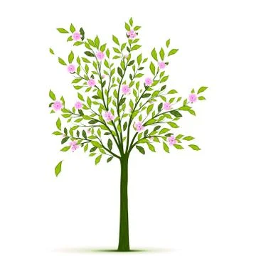 Spring tree with leaves and flowers Stock Illustration