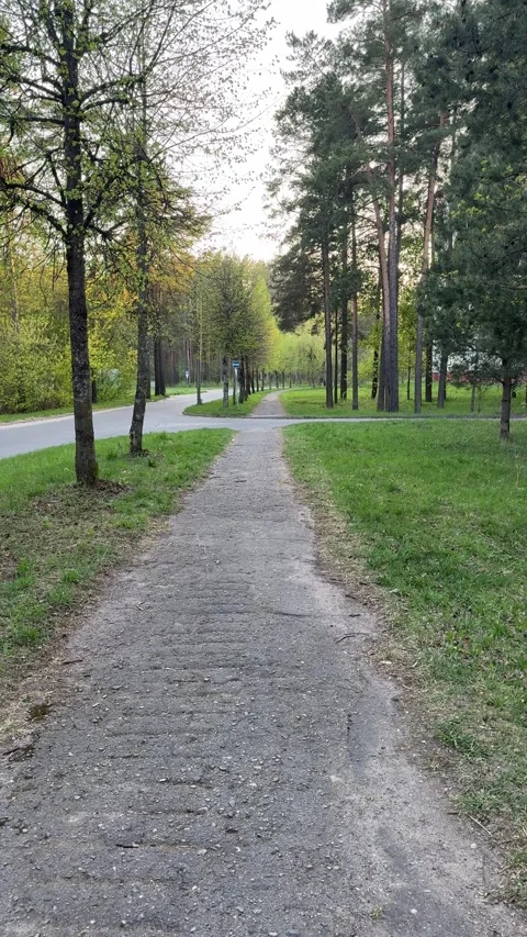 In spring, a tree-lined pedestrian path along a quiet park road Stock Footage 334628820