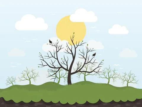 Spring tree Stock Photos