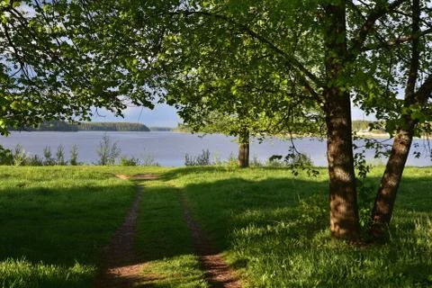 Spring trees on the banks of a beautiful forest lake Stock Photos