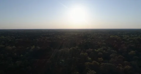 Spring Trees Stock Footage 128597730