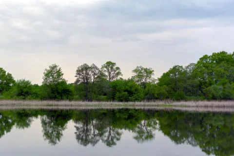 Spring trees by the river are reflected in the water Stock Photos