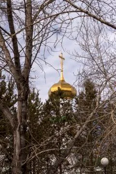 Spring trees without leaves Stock Photos