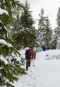 Spring trekking in the mountains Stock Photos