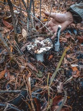 Spring trip to the forest for mushrooms Stock Photos