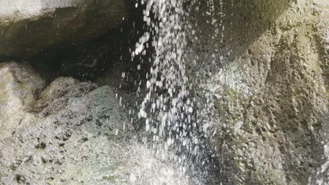 Spring in tropical forest in 4k slow motion Stock Footage 92831783