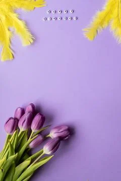 Spring tulip and text Happy Birhday on english laid out of multi-colored cube on Stock Photos