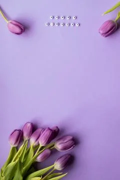 Spring tulip and text Happy Birhday on english laid out of multi-colored cube on Stock Photos