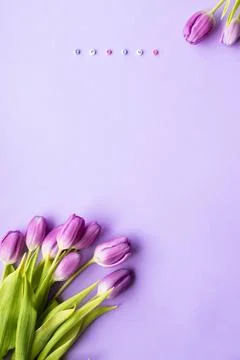 Spring tulip and text spring on english laid out of multi-colored cube on violet Stock Photos