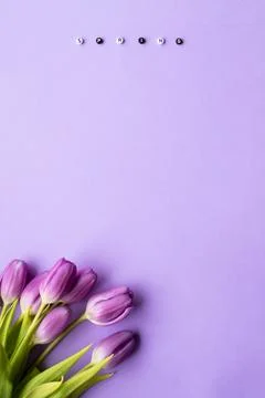 Spring tulip and text spring on english laid out of multi-colored cube on violet Stock Photos