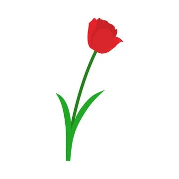 Spring Tulip Element Stock Illustration