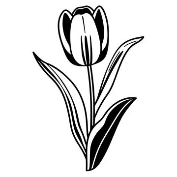 Spring Tulip Flower Minimal Flat Vector Stock Illustration