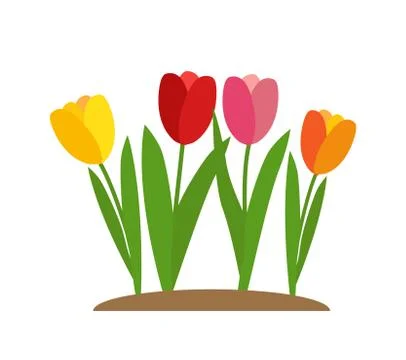 Spring Tulip Flowers Background Vector Illustration Stock Illustration