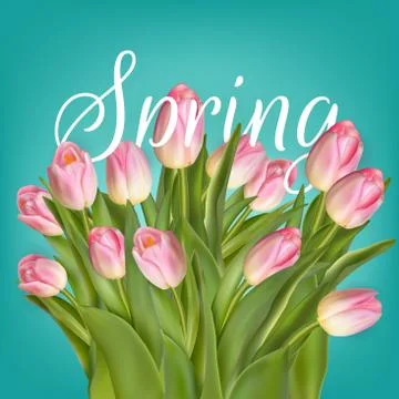 Spring Tulip Flowers over white. EPS 10 Ilustração Stock
