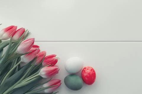 Spring Tulips and Easter Eggs isolated on white wood Background. Stock Photos