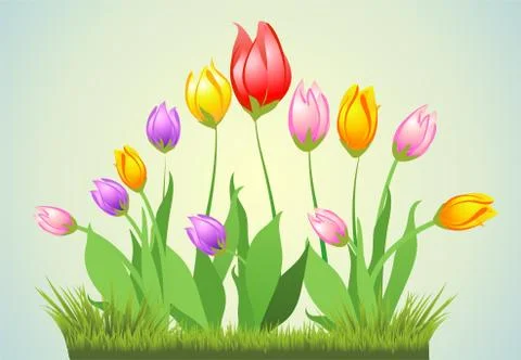 Spring tulips and grass Stock Illustration