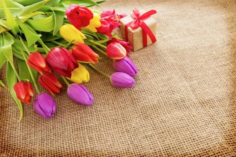 Spring tulips with colorful easter eggs and gift box. Stock Photos