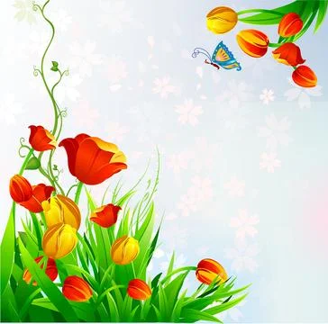 Spring tulips, Stock Illustration