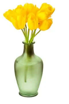 Spring Tulips Isolated Stock Photos
