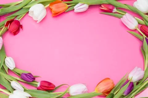 Spring tulips Foto stock