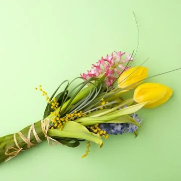 Spring tulips Stock Photos