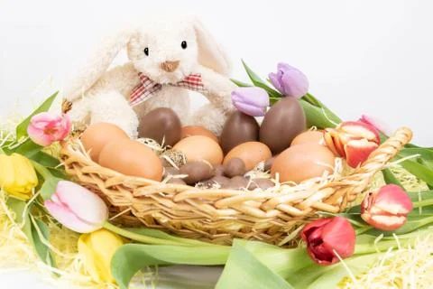 Spring tulips surround Easter Bunny and its collection of chocolate Easter eggs Stock Photos
