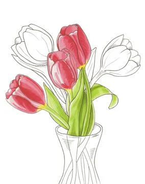 Spring tulips in a vase Stock Illustration