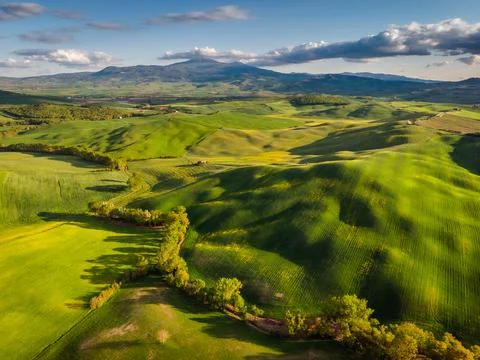 Spring in Tuscany fields Stock-Fotos