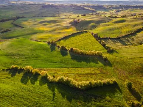 Spring in Tuscany fields Stock Photos