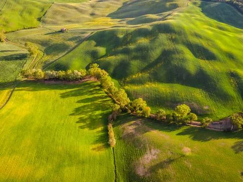 Spring in Tuscany fields Stock Photos