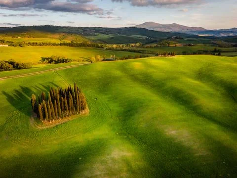 Spring in Tuscany fields Foto stock